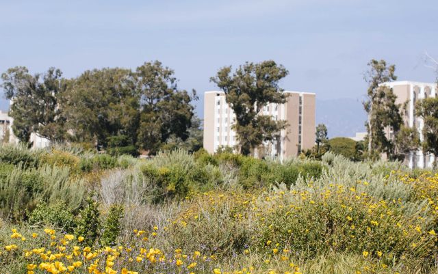Photo of Campus