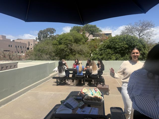 Women in Leadership Summit Networking