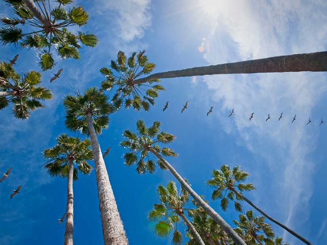 Aggregate Economics Consortium