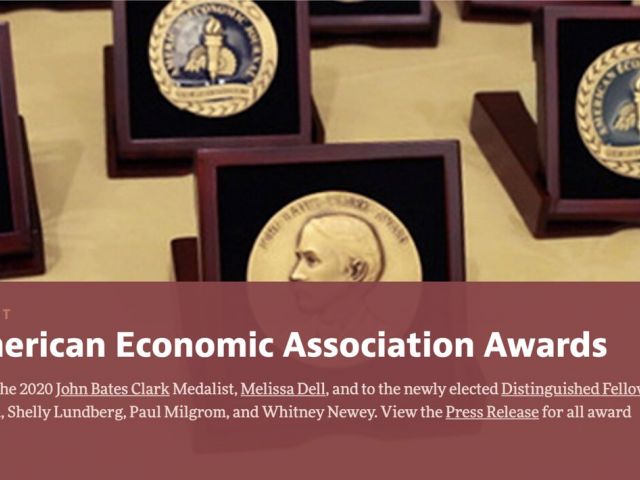 Distinguished Fellow